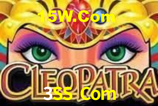 3SS Com