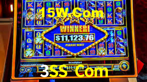 3SS Com